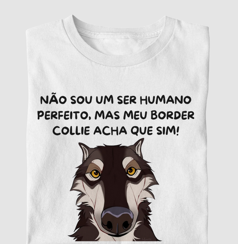 Não sou perfeito, mas meu border acha que sim