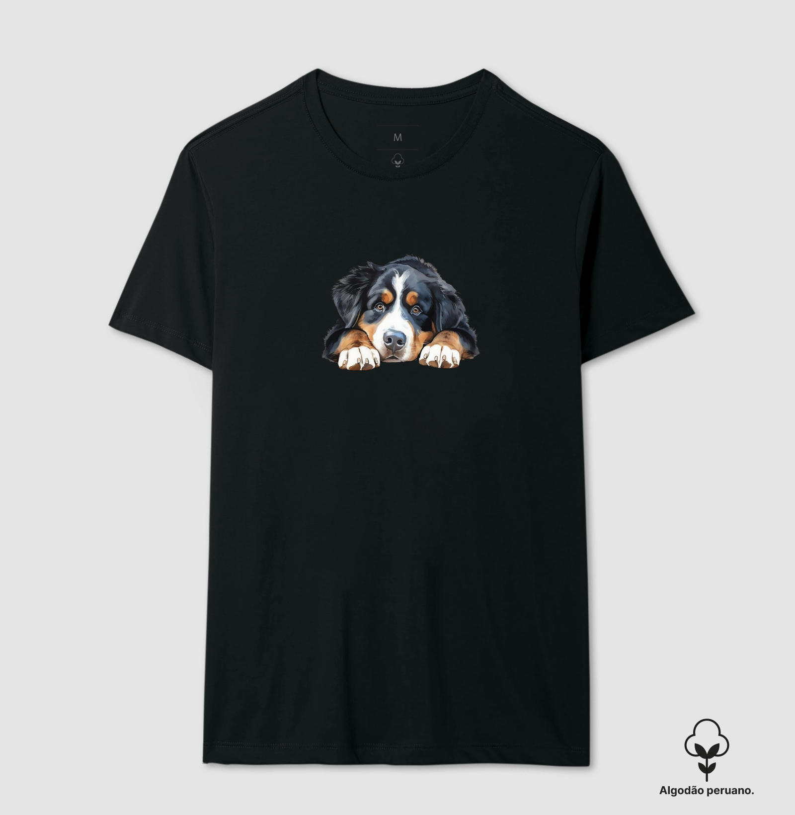 Bernese deitado