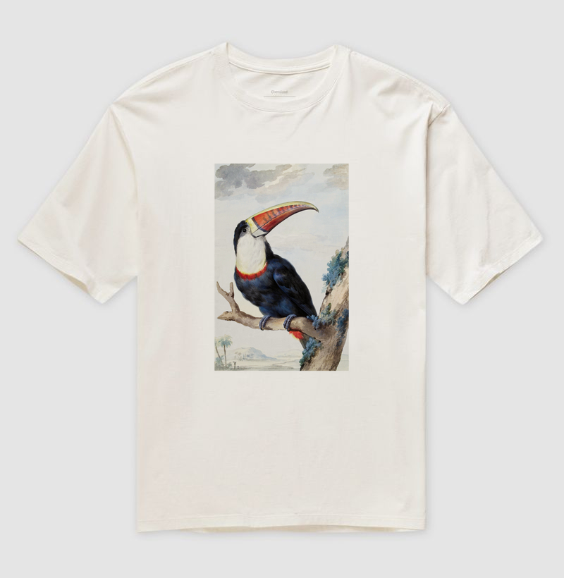 Tucano-de-papo-branco