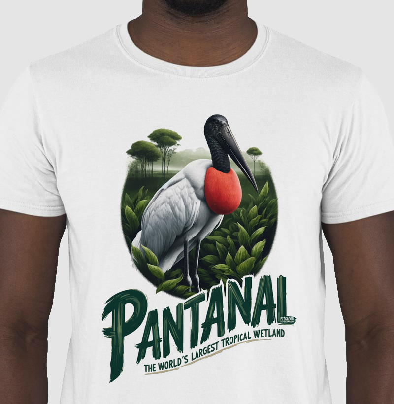 Pantanal - Tuiuiu