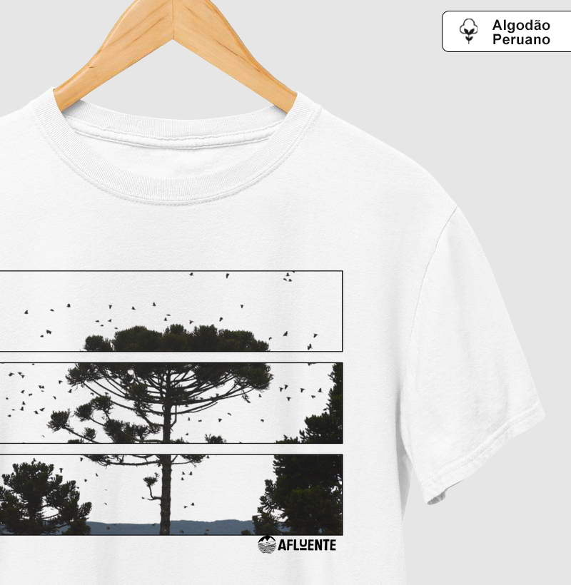 Frames de Araucaria