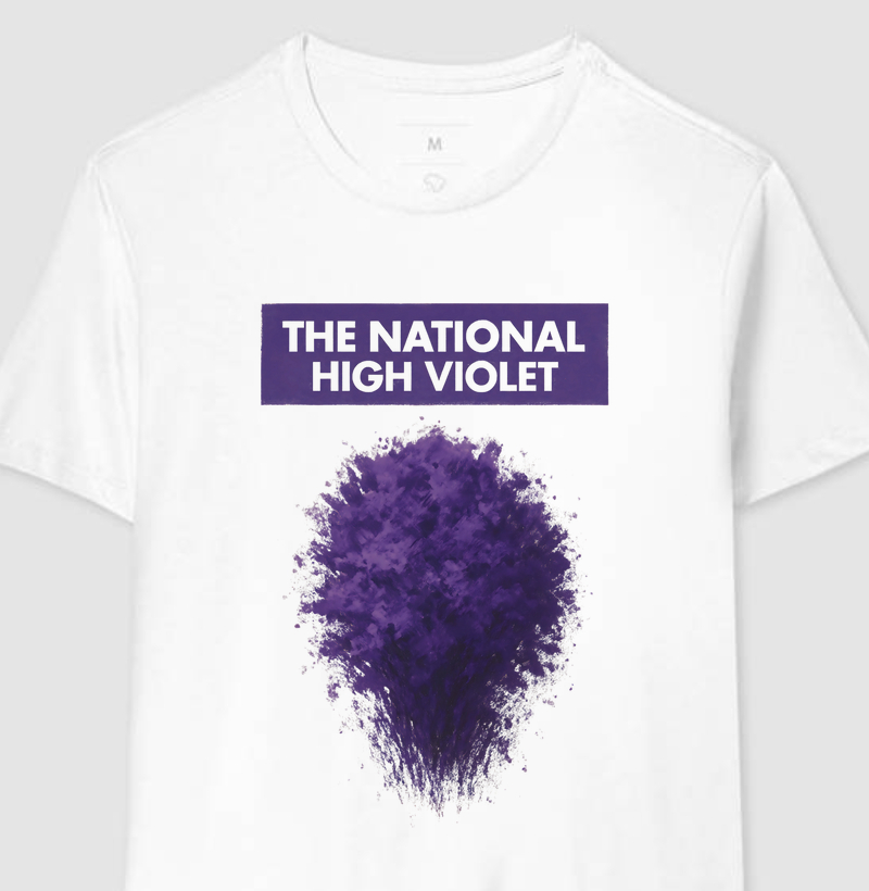 High Violet – The National