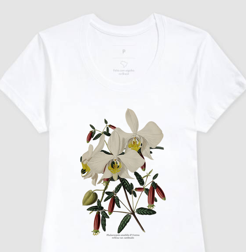 Camiseta Fashion Feminina Phalaenopsis