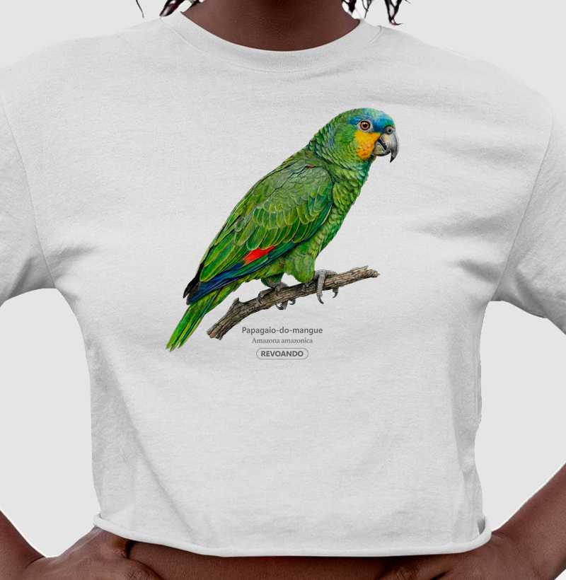 Traços Alados - Papagaio-do-mangue - Cropped