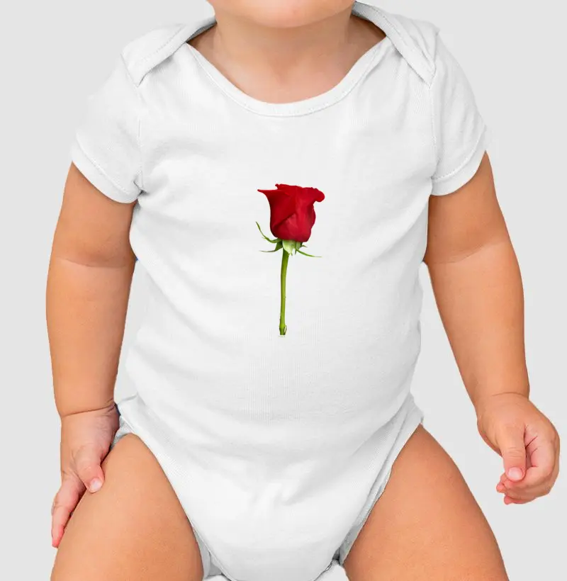 Botão de Rosa