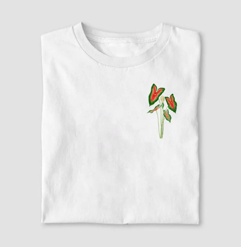 Caladium