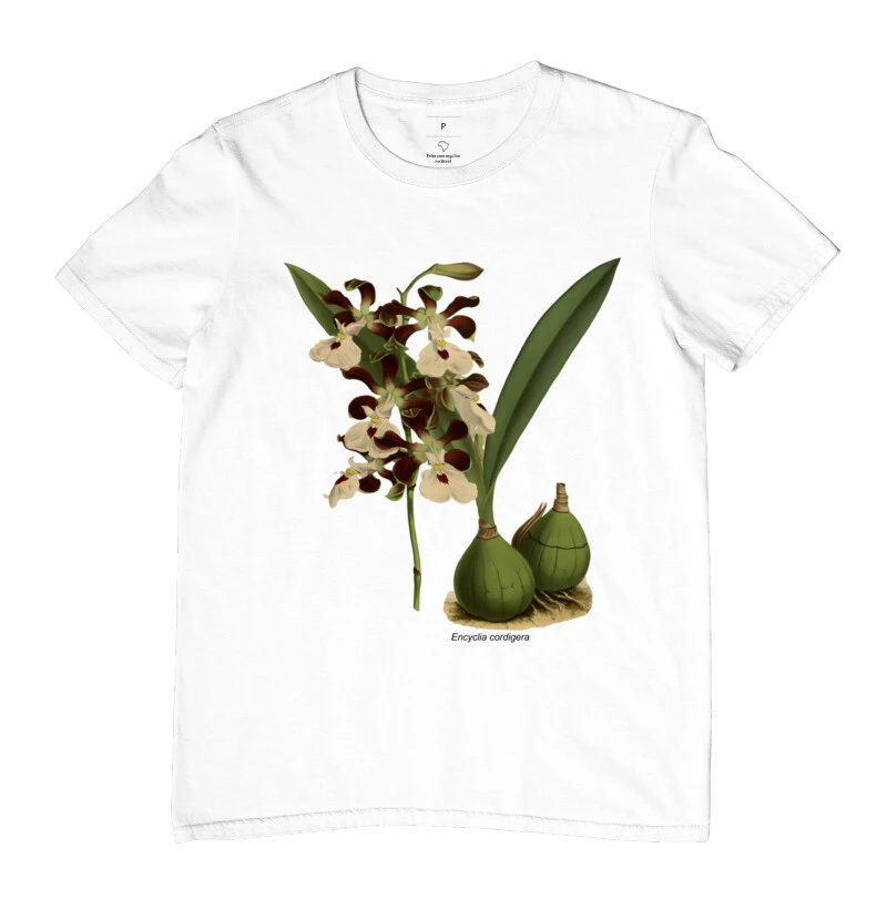 Encyclia cordigera