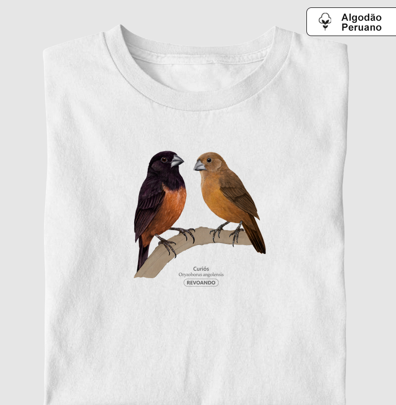 Aves do Brasil - Casal de Curiós - Algodão Peruano