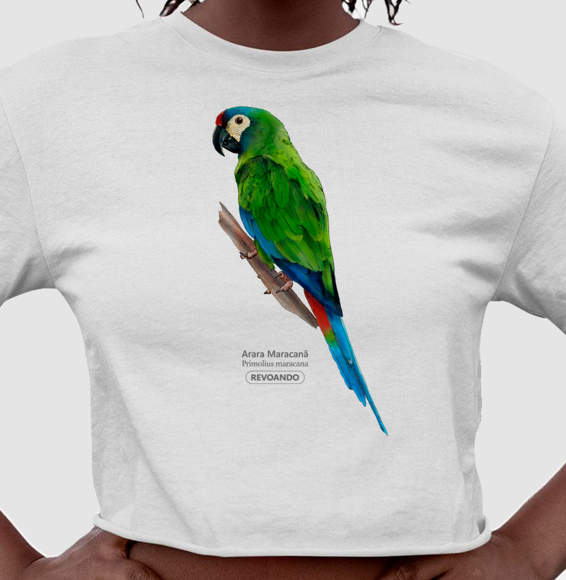 Aves do Brasil - Arara Maracanã - Cropped