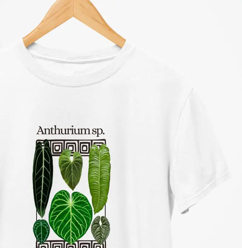 ANTHURIUM QD I