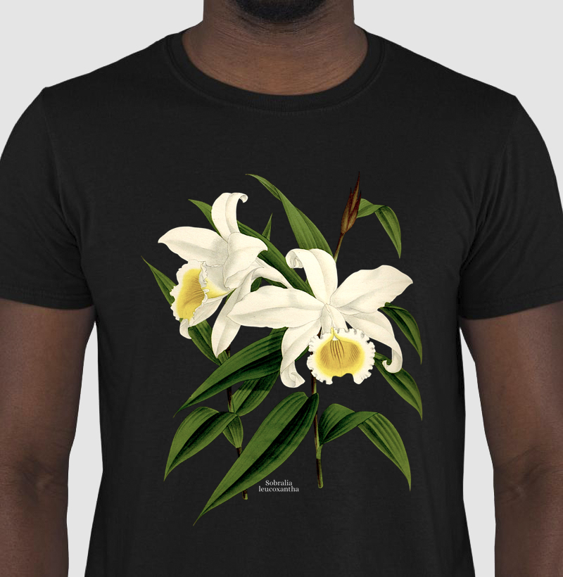 Camiseta Sobralia leucoxantha