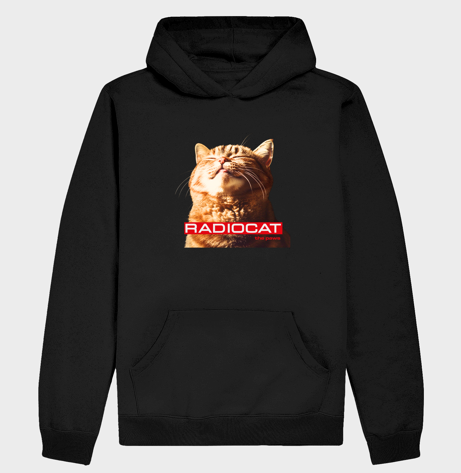 RADIOCAT - THE PAWS