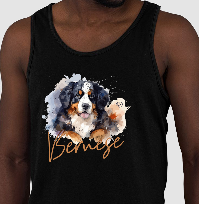 Bernese Splash 2
