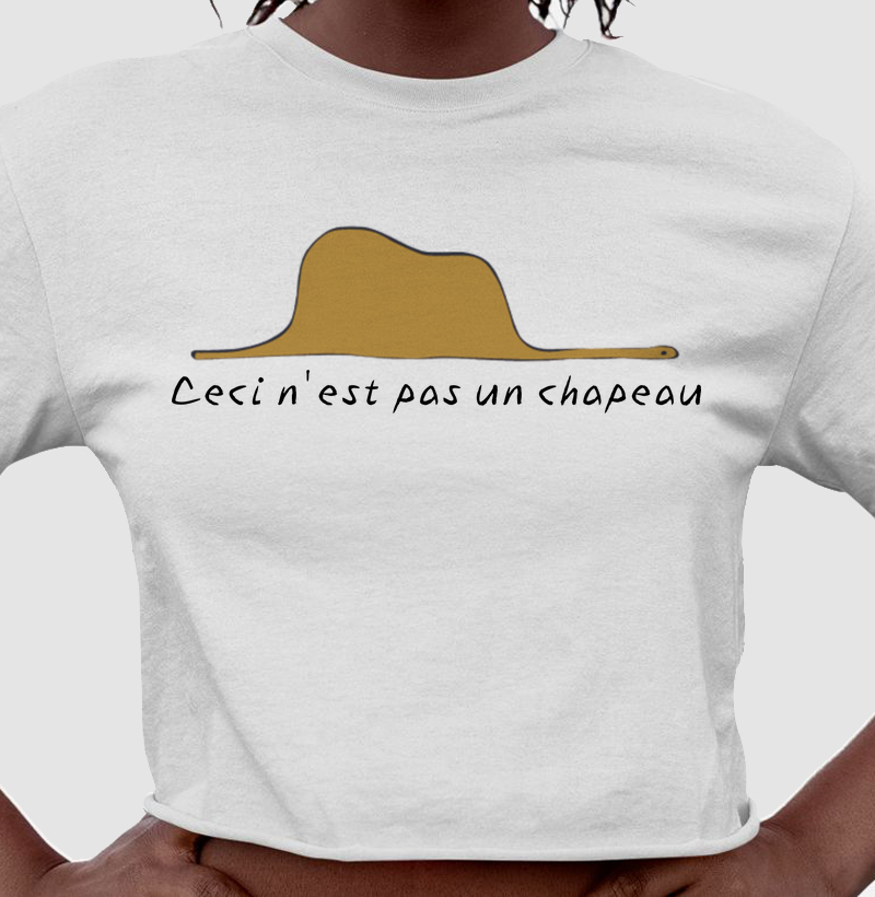 Jiboia Pequeno Príncipe (em francês)