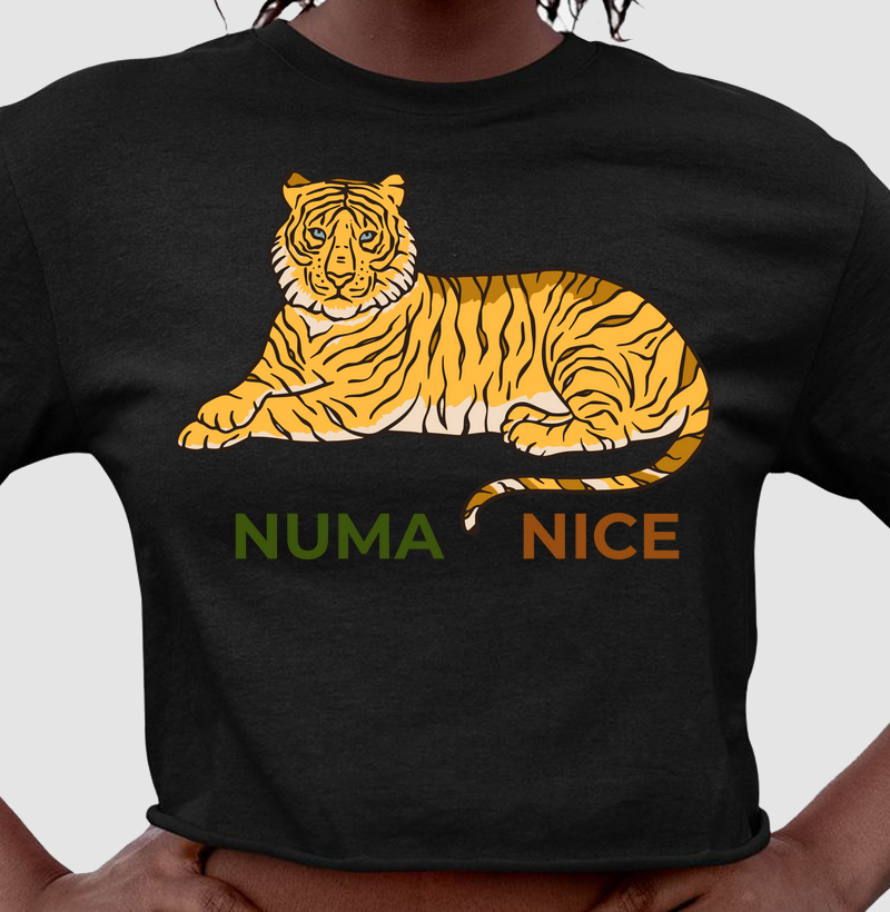 Numa Nice 