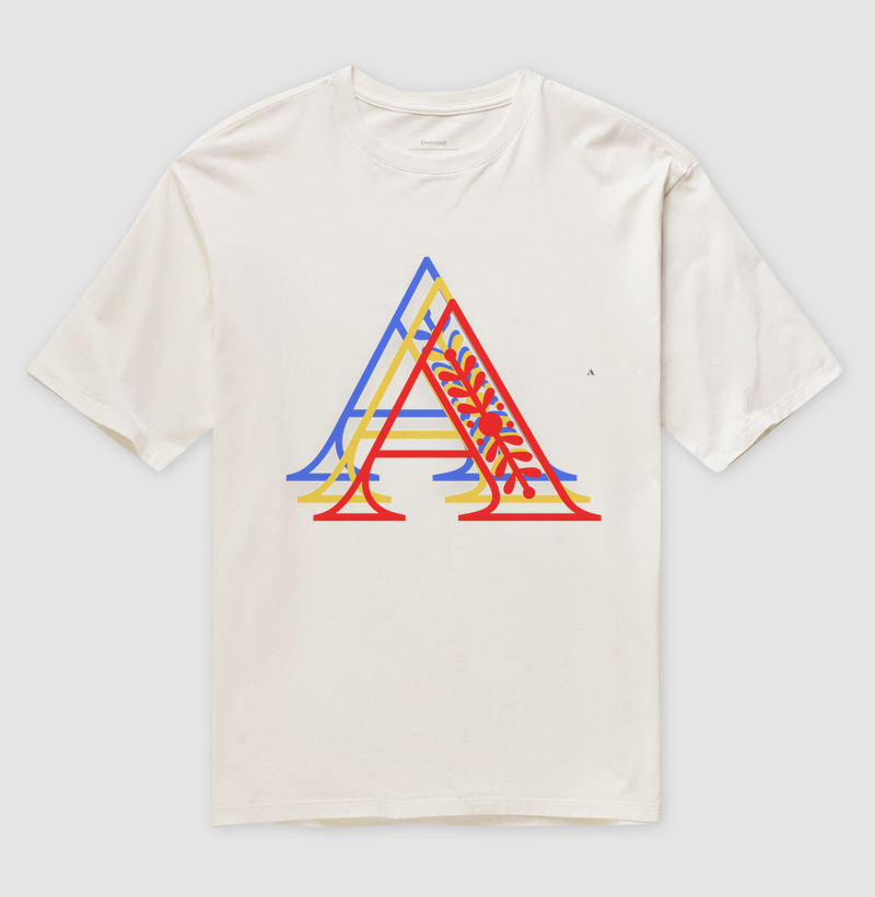 Camiseta oversized Alik Colors