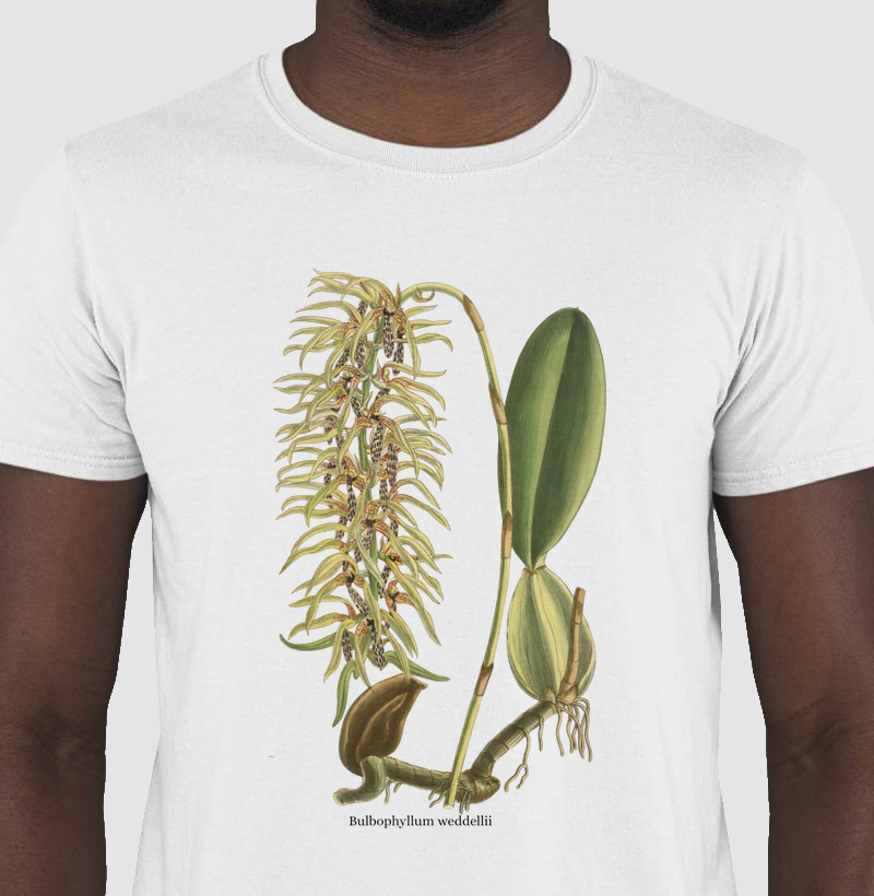 Camiseta T-shirt Bulbophyllum weddellii