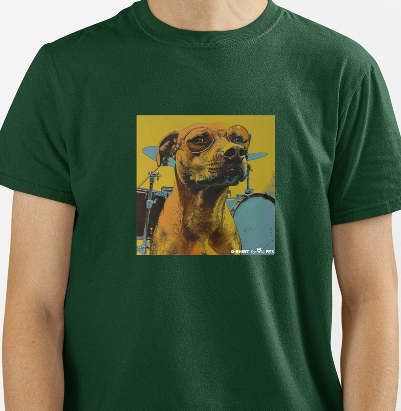 caramelo baterista- for ALLPETS