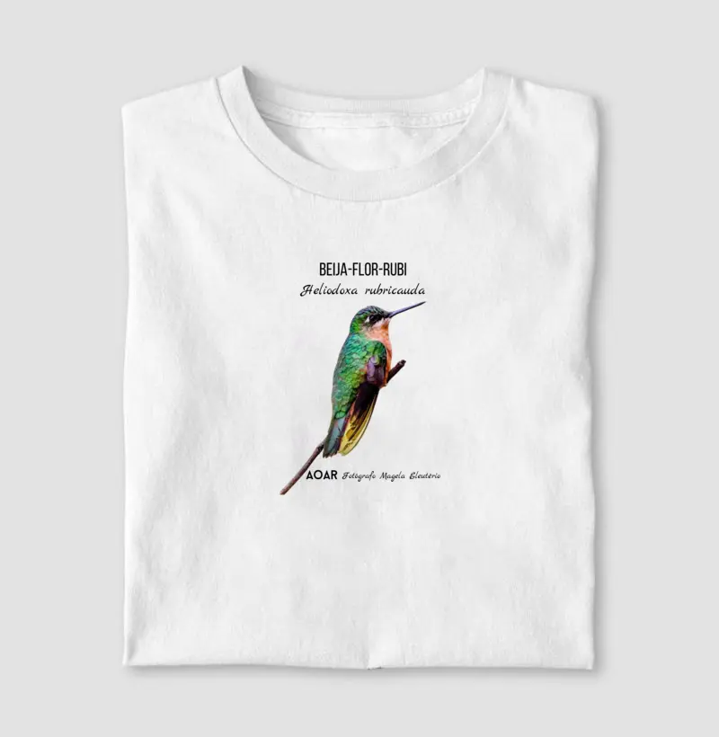 Aves da mata atlântica com Magela Eleutério BEIJA-FLOR-RUBI