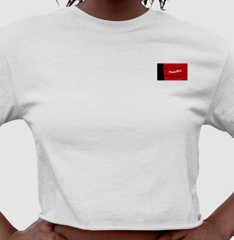 Bandeira da Paraíba estilizada