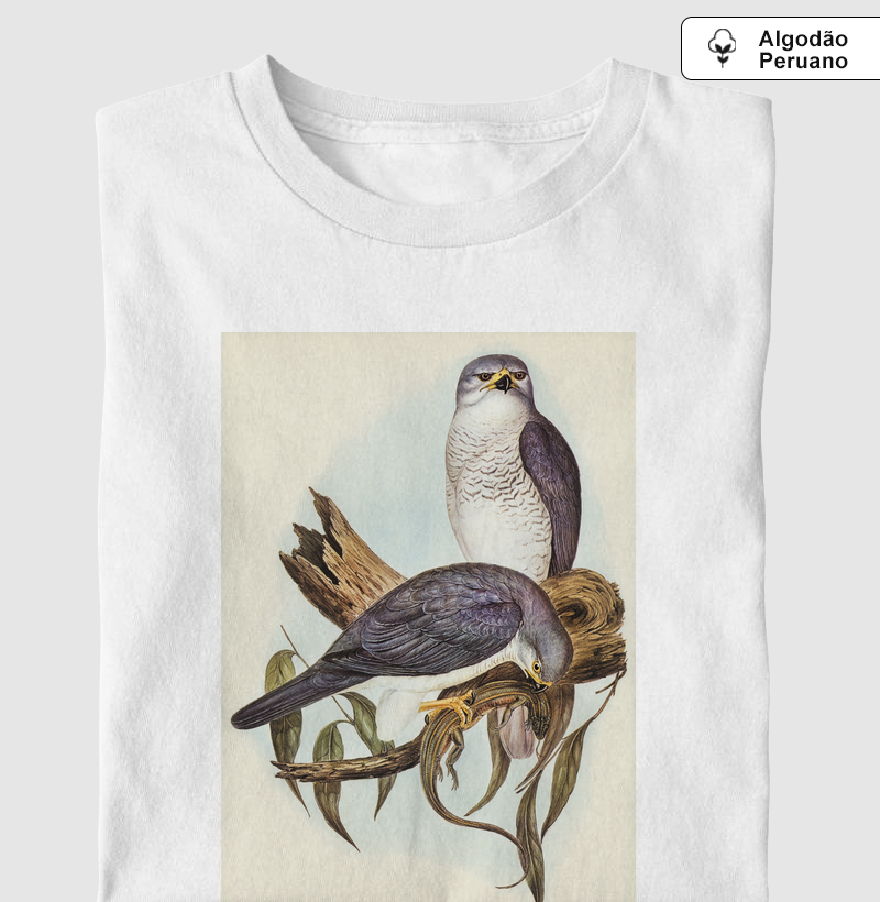 New Holland Goshawk