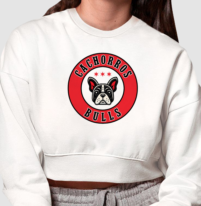 CACHORROS BULLS