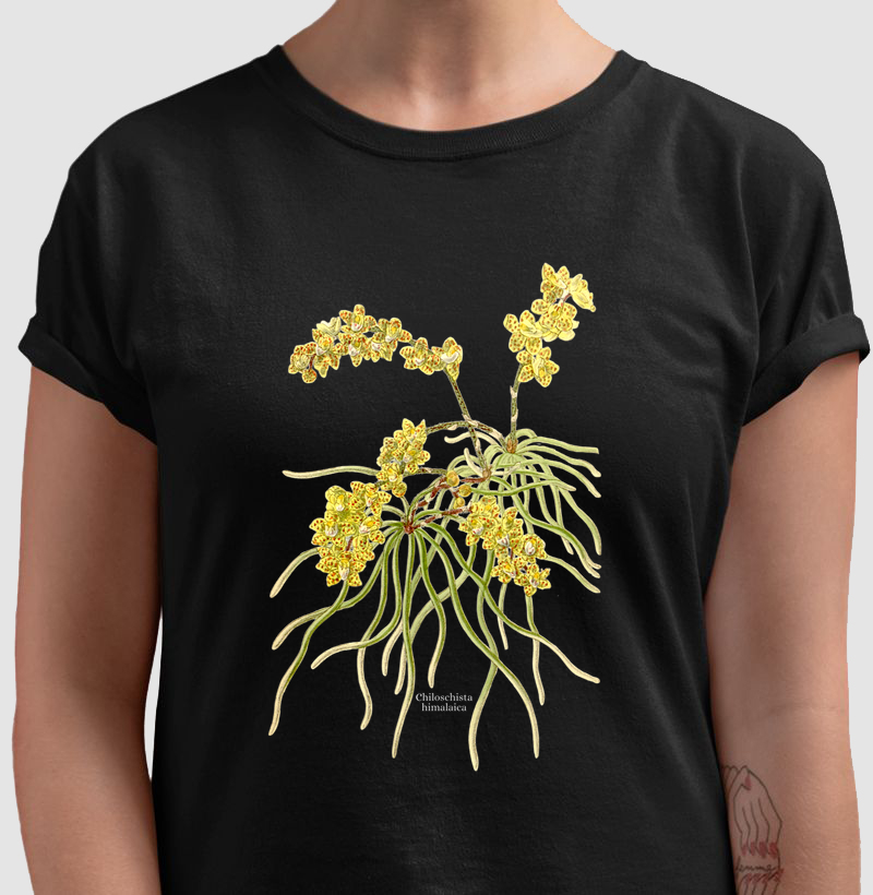 Camiseta Chiloschista himalaica