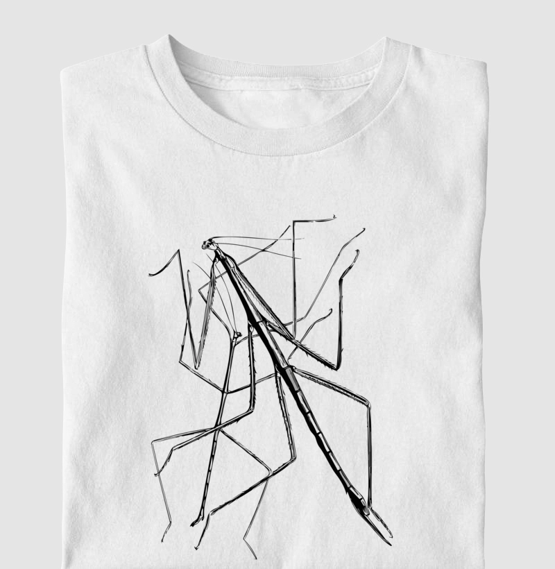 Phasmatodea