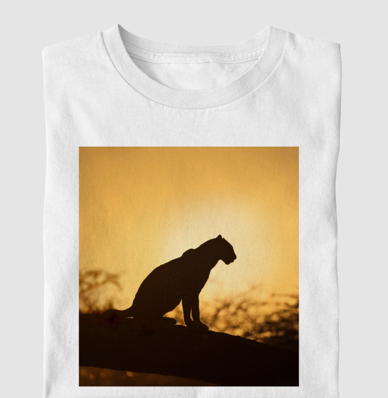 Leopardo 
