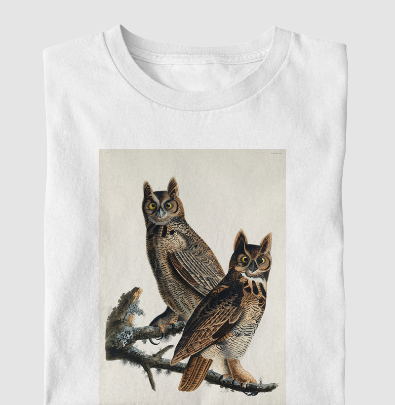 Great Horned Owl