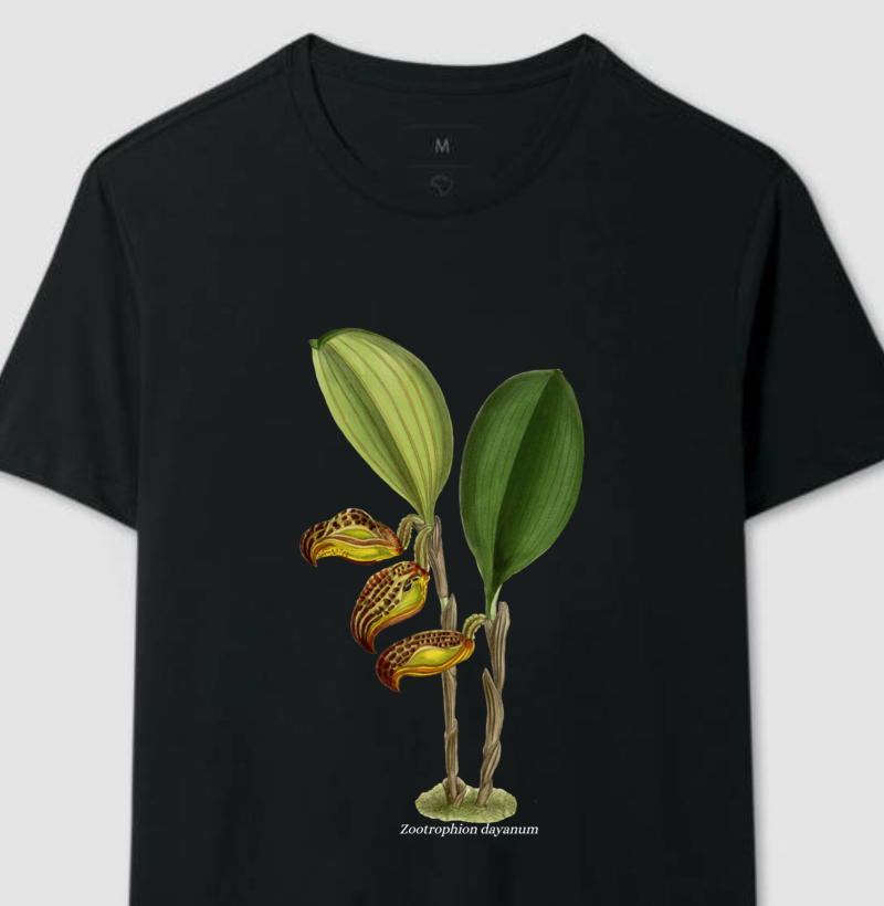 Camiseta Zootrophion dayanum t-shirt