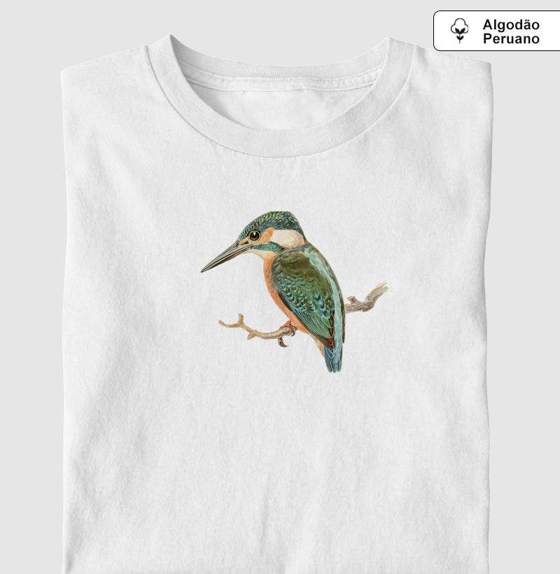 Martim-pescador