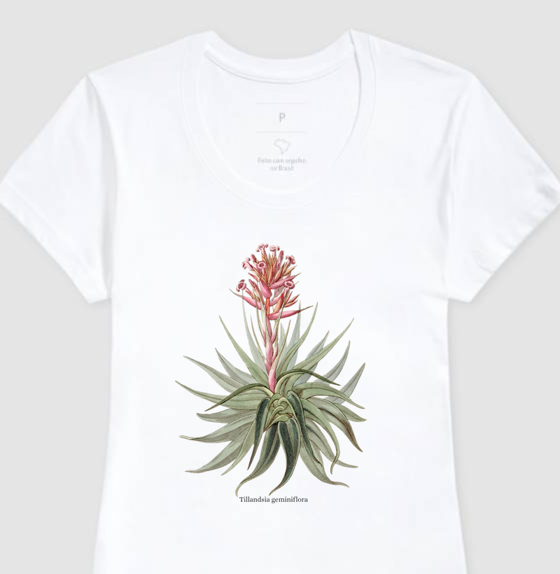 Camiseta Feminina Tillandsia geminiflora