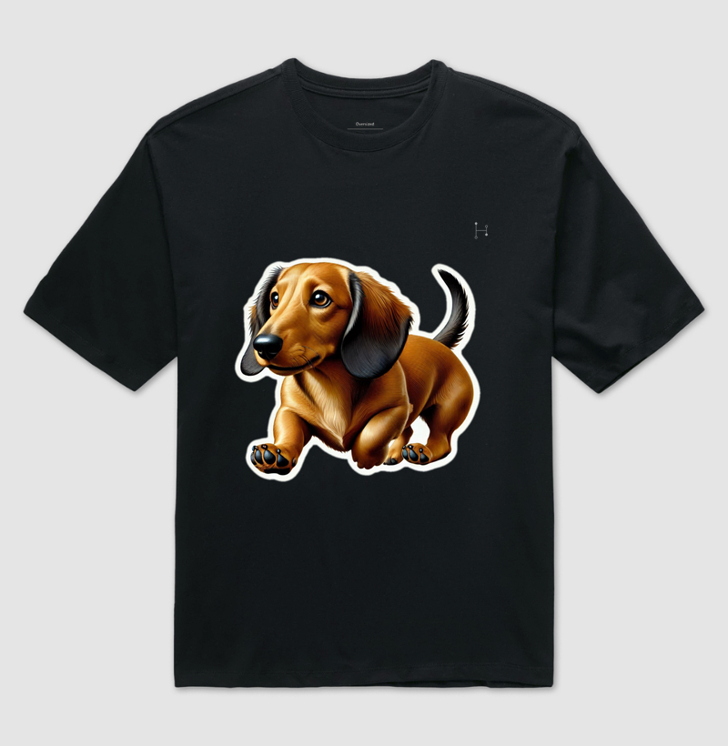 Dachshund 
