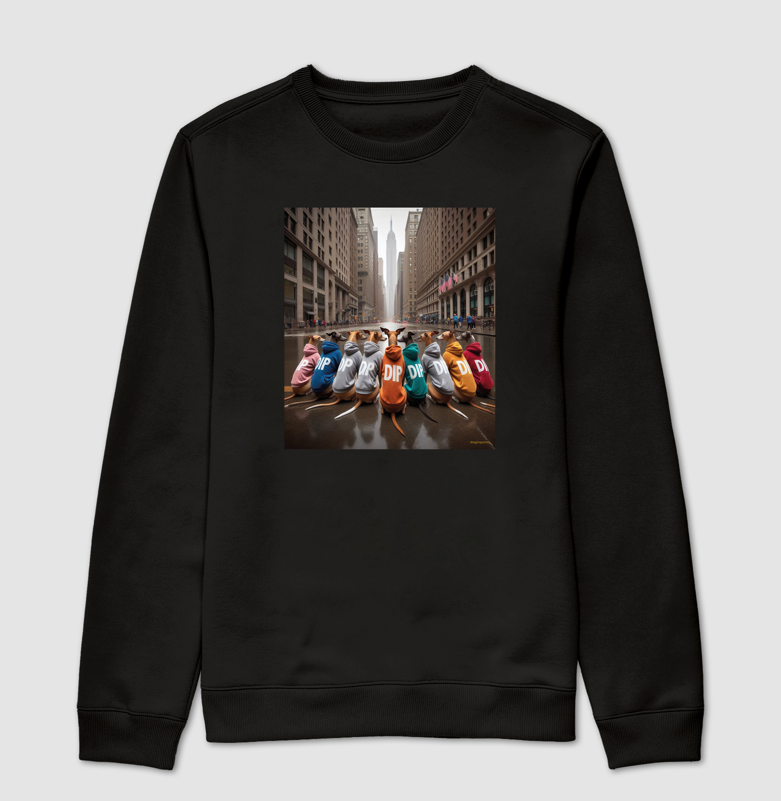 Colors NY