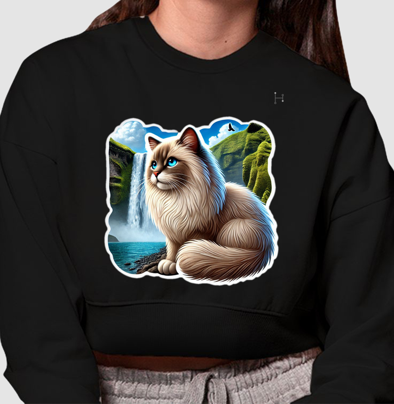 Gato - Ragdoll