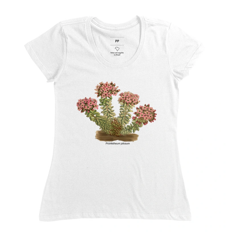 Prometheum ( Sedum ) pilosum