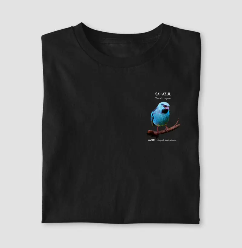  Aves da mata atlântica com Magela Eleutério SAÍ-AZUL