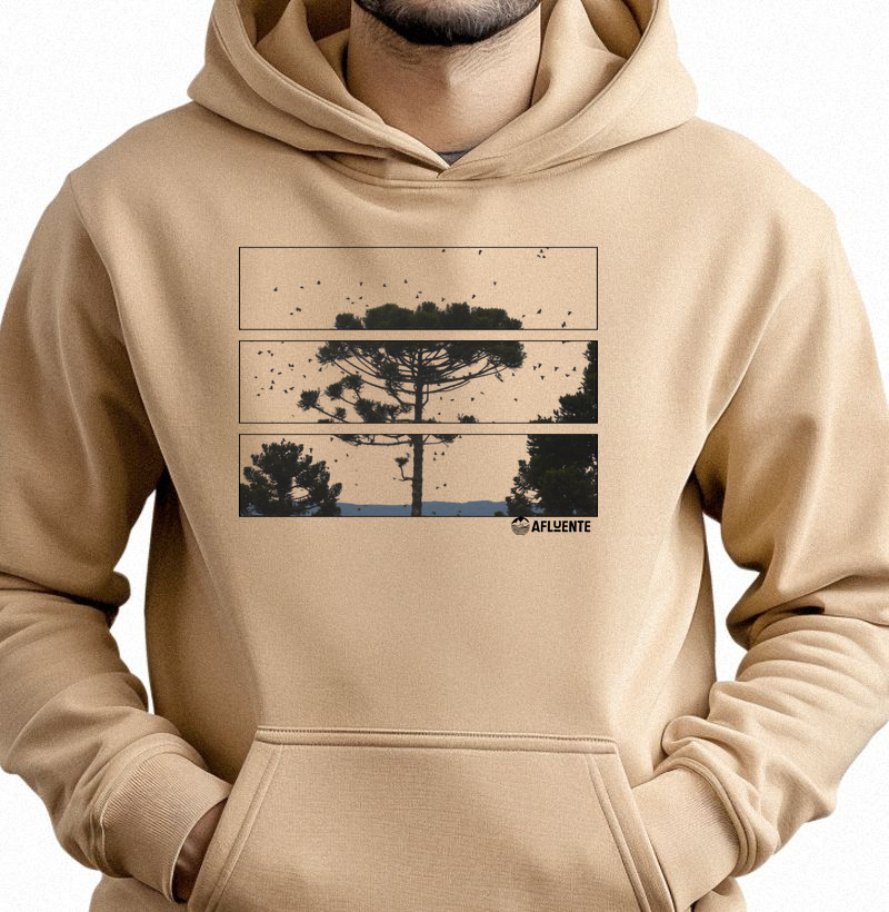 Frames de Araucaria
