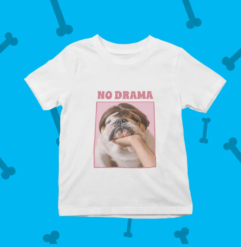 no drama kids