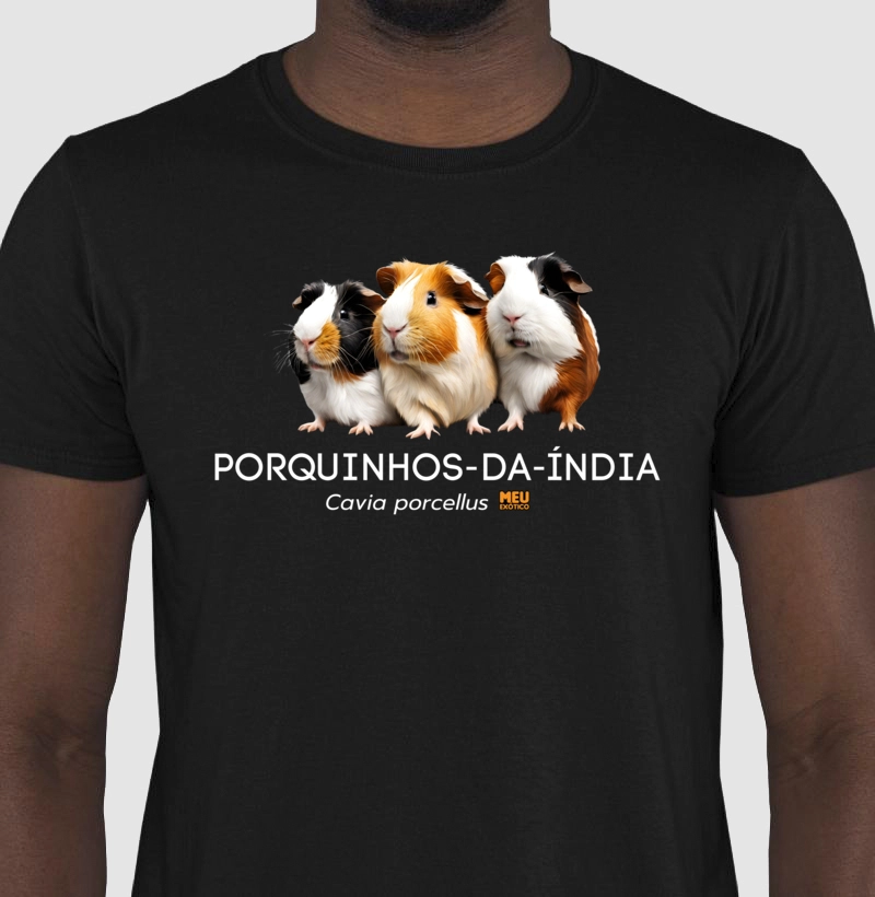 Porquinho-da-índia III