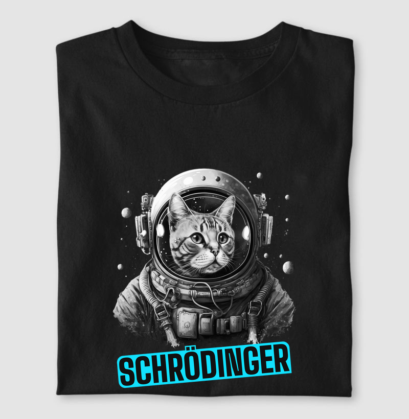 Gato de Schrödinger 1