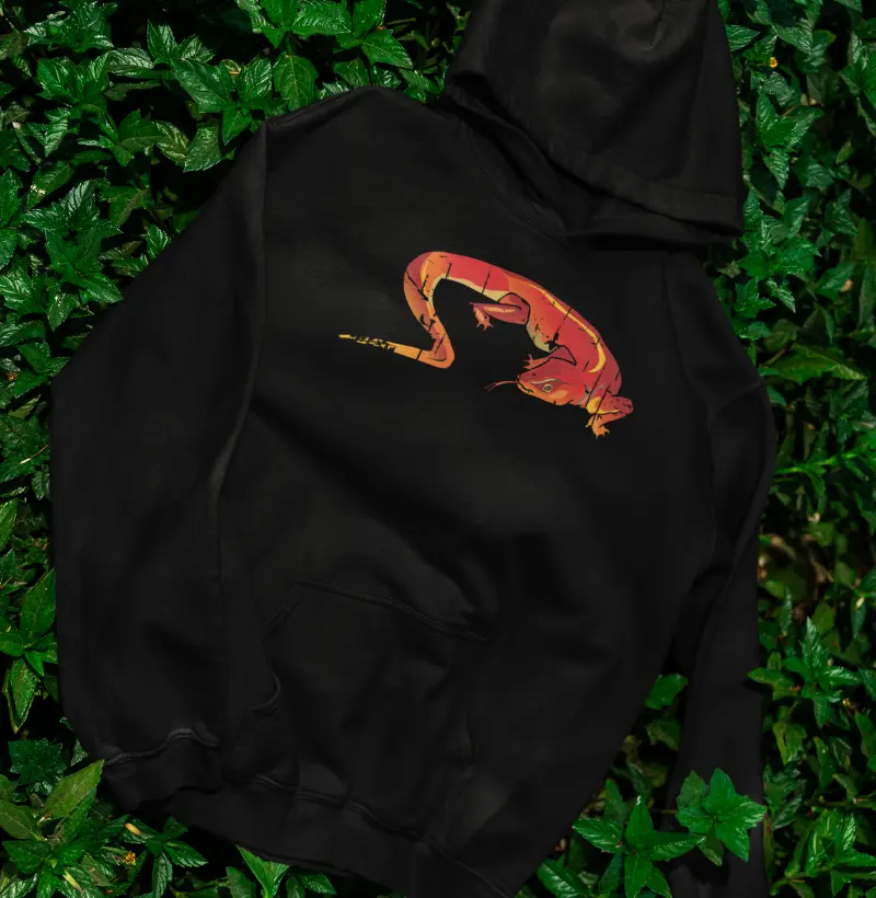 75 O Lagarto