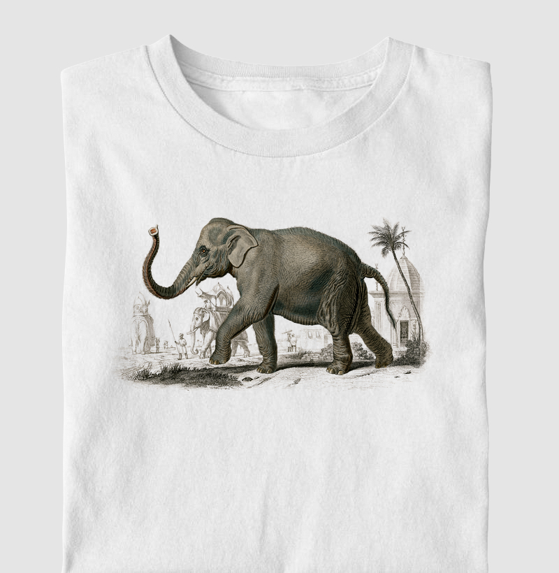 Asian elephant