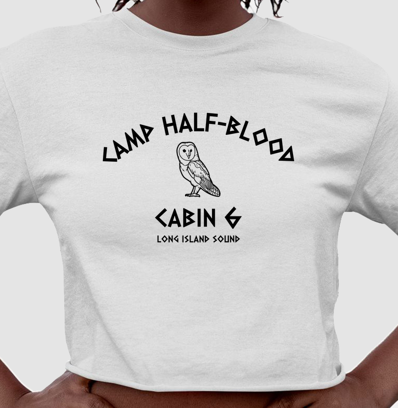Camiseta cropped chalé 6