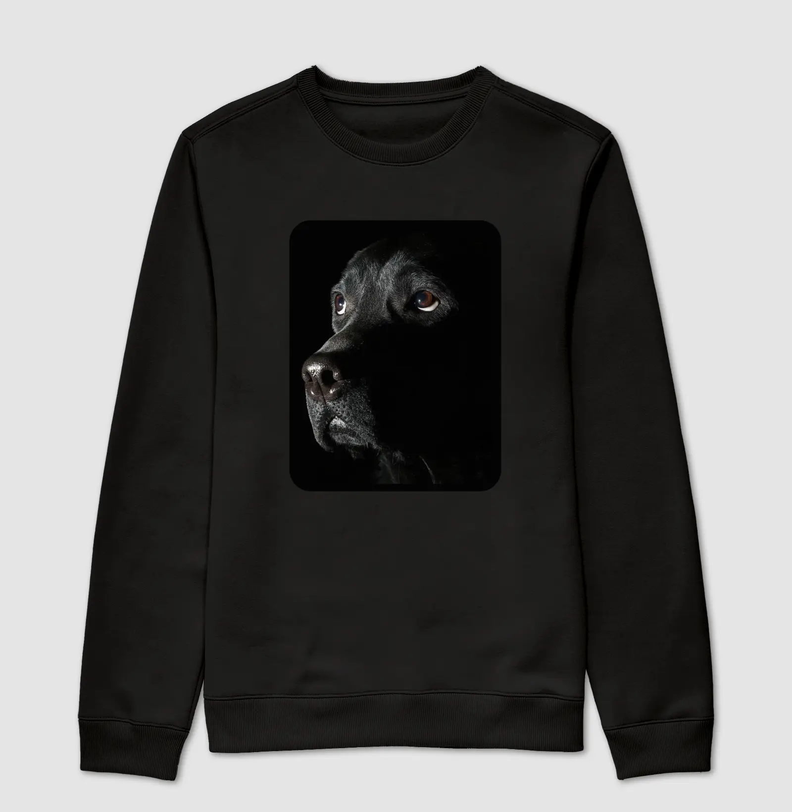 Dog Back in Black - Moletom