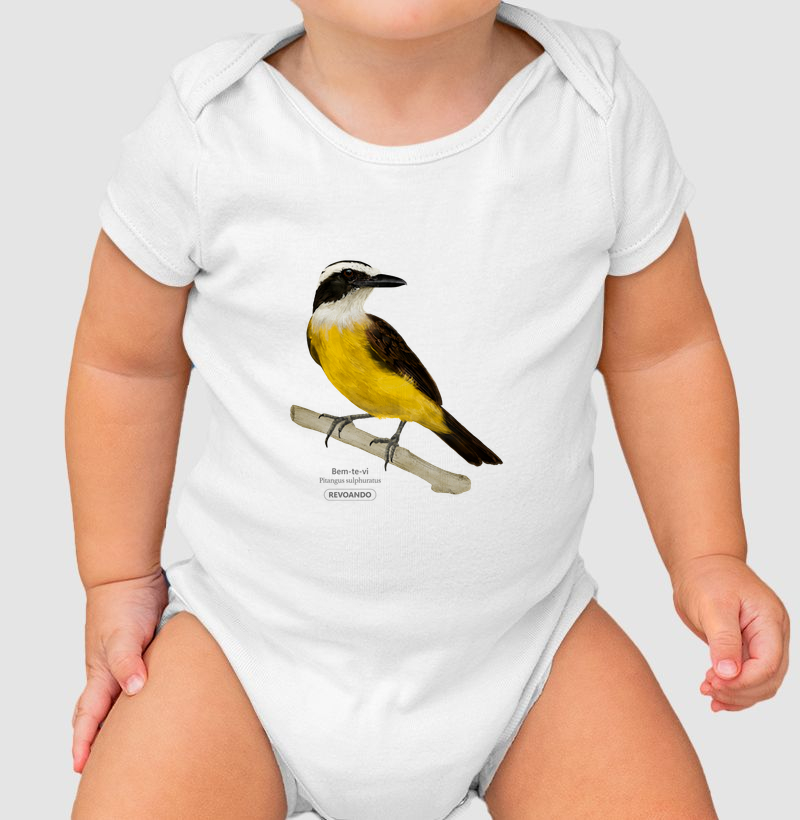 Aves do Brasil - Bem-te-vi - Body Infantil