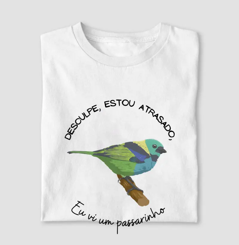 Eu vi um passarinho saíra-sete-cores 