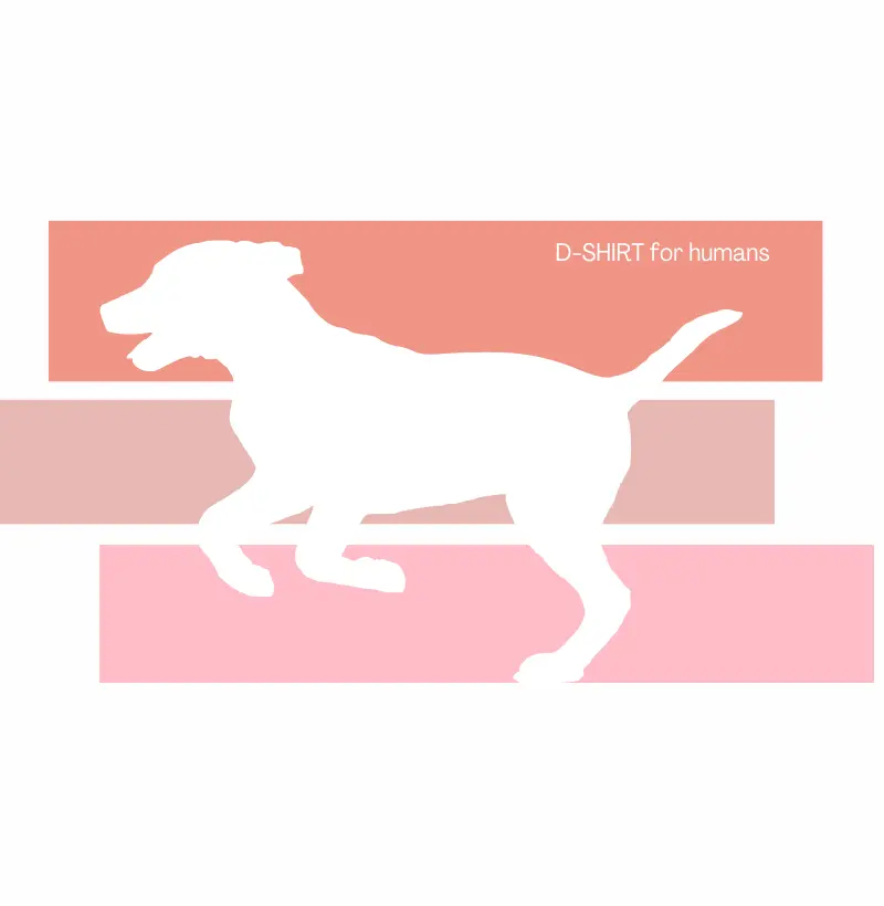 Fall - Dog in rose