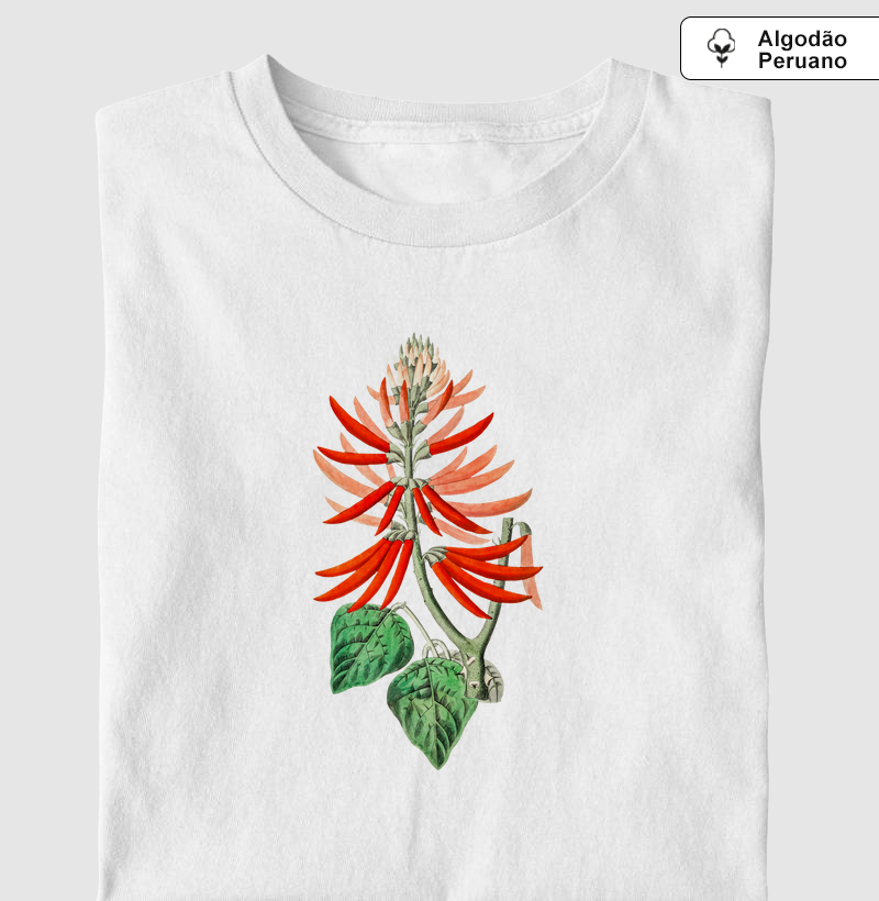 Vintage erythrina flower
